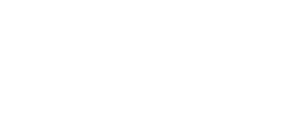 southbridge-executive-connecting-top-talents-to-great-organizations