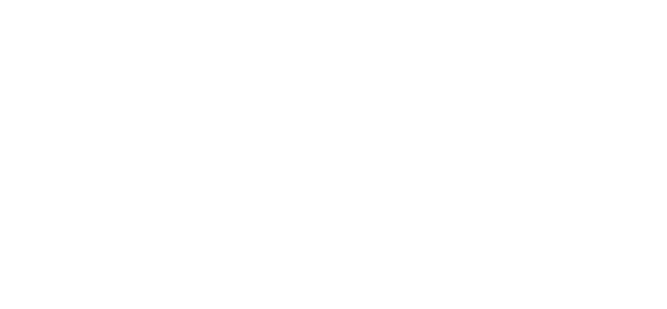 SouthBridge Executive